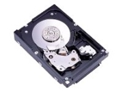 Fujitsu 147GB (MAX3147NC)