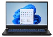 Medion Erazer Defender P20 (MD62395)