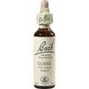 Nelsons BACHBLUETEN GORSE TROPFEN 20 ML Nelsons BACHBLUETEN GORSE TROPFEN 20 ML