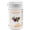 Allpharm Vertriebs GmbH Mariendistel Kapseln 60 Stück (03011441) Allpharm Vertriebs GmbH Mariendistel Kapseln 60 Stück (03011441)