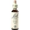 Nelsons BACHBLUETEN HOLLY TROPFEN 20 ML Nelsons BACHBLUETEN HOLLY TROPFEN 20 ML