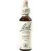 Nelsons BACHBLUETEN LARCH TROPFEN 20 ML Nelsons BACHBLUETEN LARCH TROPFEN 20 ML