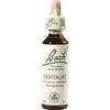 Nelsons BACHBLUETEN CENTAURY TROPFEN 20 ML Nelsons BACHBLUETEN CENTAURY TROPFEN 20 ML