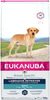 Eukanuba Labrador Retriever 12 kg Eukanuba Labrador Retriever 12 kg