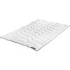 Badenia Bettcomfort 03857220149 Steppbett Trendline Basic kochfest Mono 155 x 220 cm weiß Badenia Bettcomfort 03857220149 Steppbett Trendline Basic kochfest Mono 155 x 220 cm weiß