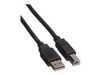 Roline USB Kabel USB2.0 A/B m/m schwarz Roline USB Kabel USB2.0 A/B m/m schwarz