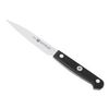 Zwilling Gourmet Spick- und Garniermesser 10 cm Zwilling Gourmet Spick- und Garniermesser 10 cm