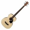 Ibanez PCBE12-OPN Ibanez PCBE12-OPN