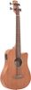 Gold Tone Micro Bass 23 Gold Tone Micro Bass 23