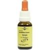 Klosterfrau Bachblüten Vervain Tropfen 20 ml Klosterfrau Bachblüten Vervain Tropfen 20 ml