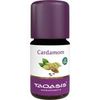 Taoasis Cardamom Bio Öl 5 ml Taoasis Cardamom Bio Öl 5 ml