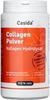 Casida Collagen Pulver Kollagen Hydrolysat 480 g Casida Collagen Pulver Kollagen Hydrolysat 480 g