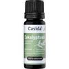 Casida Eukalyptusöl naturrein 10 ml Casida Eukalyptusöl naturrein 10 ml