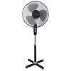 Esperanza Hurricane (EHF001KE) Esperanza Hurricane (EHF001KE)
