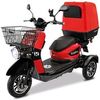 Rolektro E-Carrier 25 mit XXL-Koffer Rolektro E-Carrier 25 mit XXL-Koffer