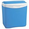 Campingaz Icetime Kühlbox 13 l Campingaz Icetime Kühlbox 13 l