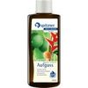 Spitzner Wellness Saunaaufguss Ingwer-Limette 190 ml Spitzner Wellness Saunaaufguss Ingwer-Limette 190 ml