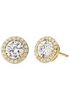 Michael Kors Ohrstecker MKC1035AN710 Michael Kors Ohrstecker MKC1035AN710
