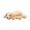 Steiff Soft Cuddly Friends Floppy Lumpi Hund (242595) Steiff Soft Cuddly Friends Floppy Lumpi Hund (242595)