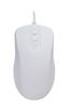Active Key AK-PMH12 Active Key AK-PMH12