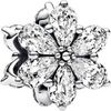Pandora Funkelndes Herbarium Cluster Charm (792623C01) Pandora Funkelndes Herbarium Cluster Charm (792623C01)