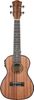 Cascha HH 2035E Cascha HH 2035E