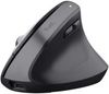 Trust Bayo+ Multidevice Ergonomic Wireless Mouse (25146) Trust Bayo+ Multidevice Ergonomic Wireless Mouse (25146)