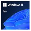 Microsoft Windows 11 Pro Englisch Microsoft Windows 11 Pro Englisch
