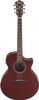 Ibanez AE100 Ibanez AE100