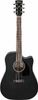 Ibanez PF16MWCE Ibanez PF16MWCE