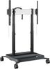 Optoma RISE 5308 Optoma RISE 5308