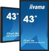 iiyama ProLite TF4339AS-B1AG iiyama ProLite TF4339AS-B1AG