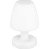 REV EASY Tischlampe (2021002000) REV EASY Tischlampe (2021002000)
