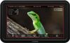 Atomos Shinobi II Atomos Shinobi II