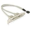 Delock Slotblech 2 x USB 2.0 Typ A Buchse extern (71000) Delock Slotblech 2 x USB 2.0 Typ A Buchse extern (71000)