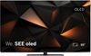 Loewe We. SEE 55 OLED Loewe We. SEE 55 OLED