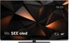 Loewe We. SEE 48 OLED Loewe We. SEE 48 OLED