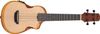 Ibanez AUC10E Ibanez AUC10E