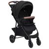 vidaXL 2-in-1 Kinderwagen (10372) vidaXL 2-in-1 Kinderwagen (10372)