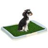 PawHut Welpentoilette mit Anti-Rutsch-Fußmatten 63 x 48,5 cm PawHut Welpentoilette mit Anti-Rutsch-Fußmatten 63 x 48,5 cm