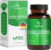 vitabay R-Alpha-Liponsäure 300 mg mit Thioctsäure Kapseln 120 Stk. vitabay R-Alpha-Liponsäure 300 mg mit Thioctsäure Kapseln 120 Stk.
