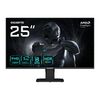 GIGABYTE GS25F2 GIGABYTE GS25F2