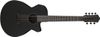 Ibanez AEG721-BOT Ibanez AEG721-BOT