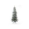Evergreen Kiefer Frost Weihnachtsbaum 210 cm Evergreen Kiefer Frost Weihnachtsbaum 210 cm