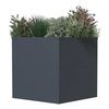 Westmann Talus S Westmann Talus S