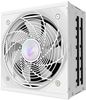 GIGABYTE AORUS Elite Platinum P850W ICE 850W GIGABYTE AORUS Elite Platinum P850W ICE 850W