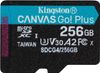 Kingston Canvas Go! Plus Gen4 microSDXC 256GB (SDCG4/256GBSP) Kingston Canvas Go! Plus Gen4 microSDXC 256GB (SDCG4/256GBSP)