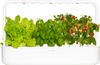 Click & Grow Smart Garden 9 PRO Click & Grow Smart Garden 9 PRO