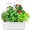 Veritable Classic (VPOT-CAWAW-A-1) Veritable Classic (VPOT-CAWAW-A-1)