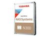Toshiba N300 12TB (HDWG51CEZSTA) Toshiba N300 12TB (HDWG51CEZSTA)